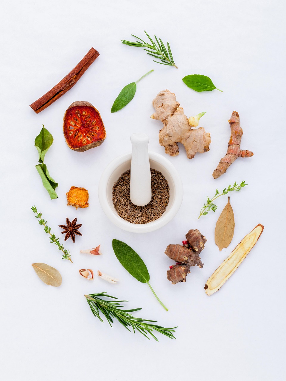 herbs, natural, pharmaceutical, green, ingredients, white, medical, healing, chinese, herbal, diet, aroma, organic, concept, leaves, medicine, recipe, spices, healthy, collection, biology, care, scientist, science, plant, seasoning, fresh, nutrition, cooking, nature, food, pharmacy, mortar, dry, healthcare